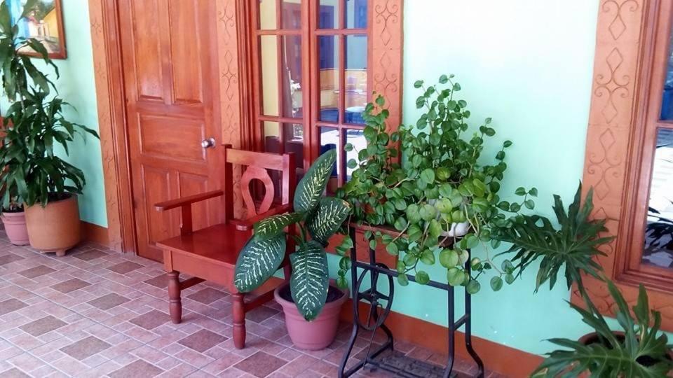 Hotel Posada "Mi Rosita" Oaxaca Exterior photo